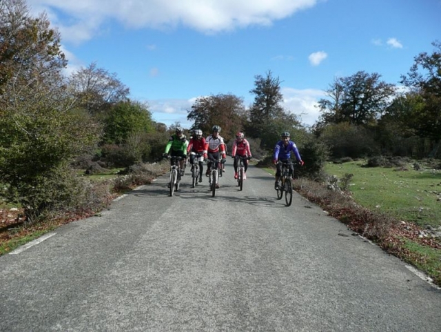 Bicis por carretera
